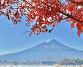 Take the kids to Japan 2