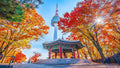 Take the kids to Seoul