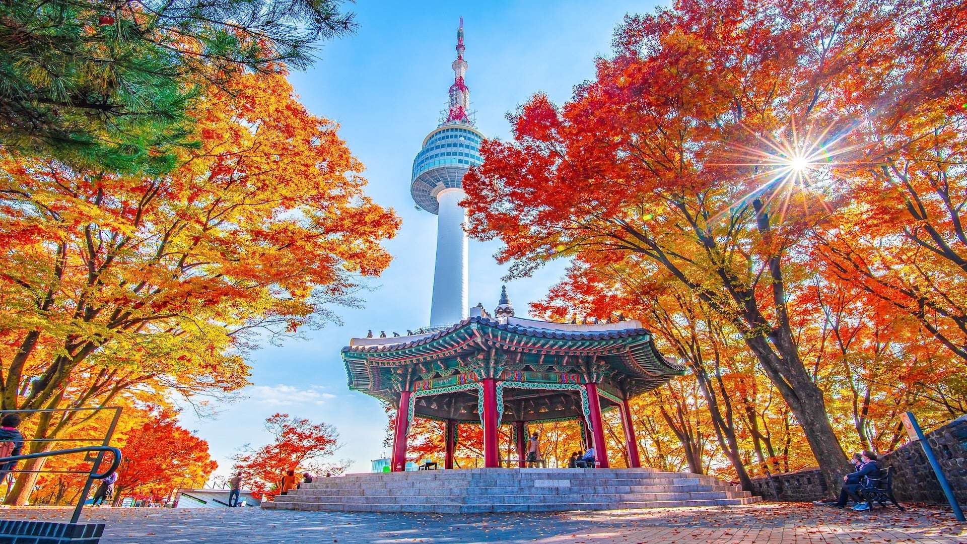 Take the kids to Seoul