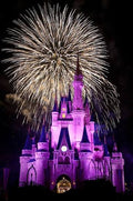 Disneyworld Orlando Florida
